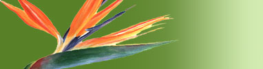 Lake Ridge Dental Care
